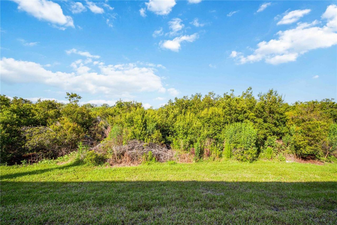 11779 Glenside Terrace , Palmetto, FL 34221 Photo