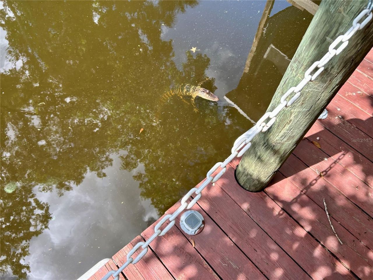 25646 Bass Road, Astor, FL 32102 Photo
