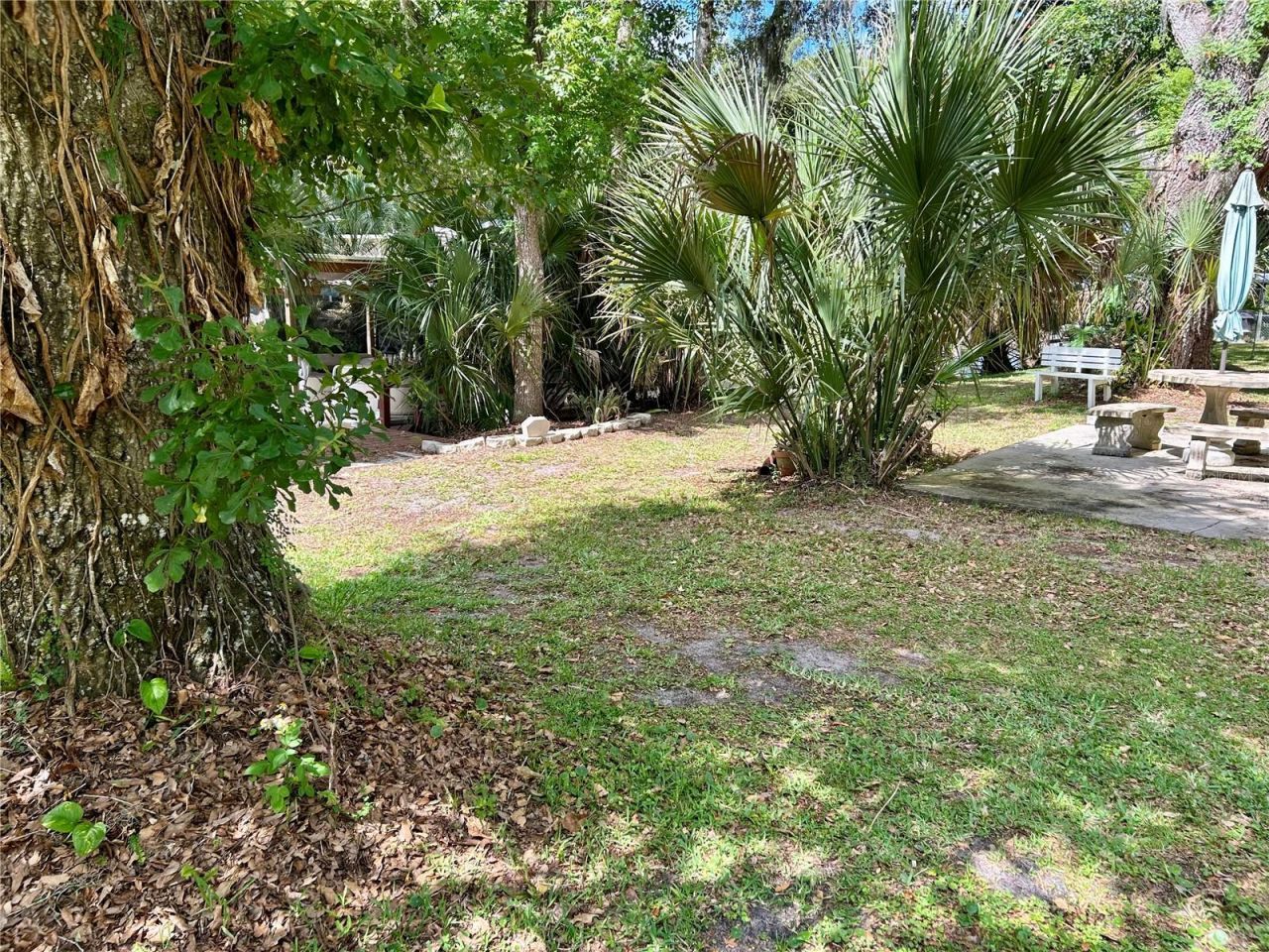 25646 Bass Road, Astor, FL 32102 Photo