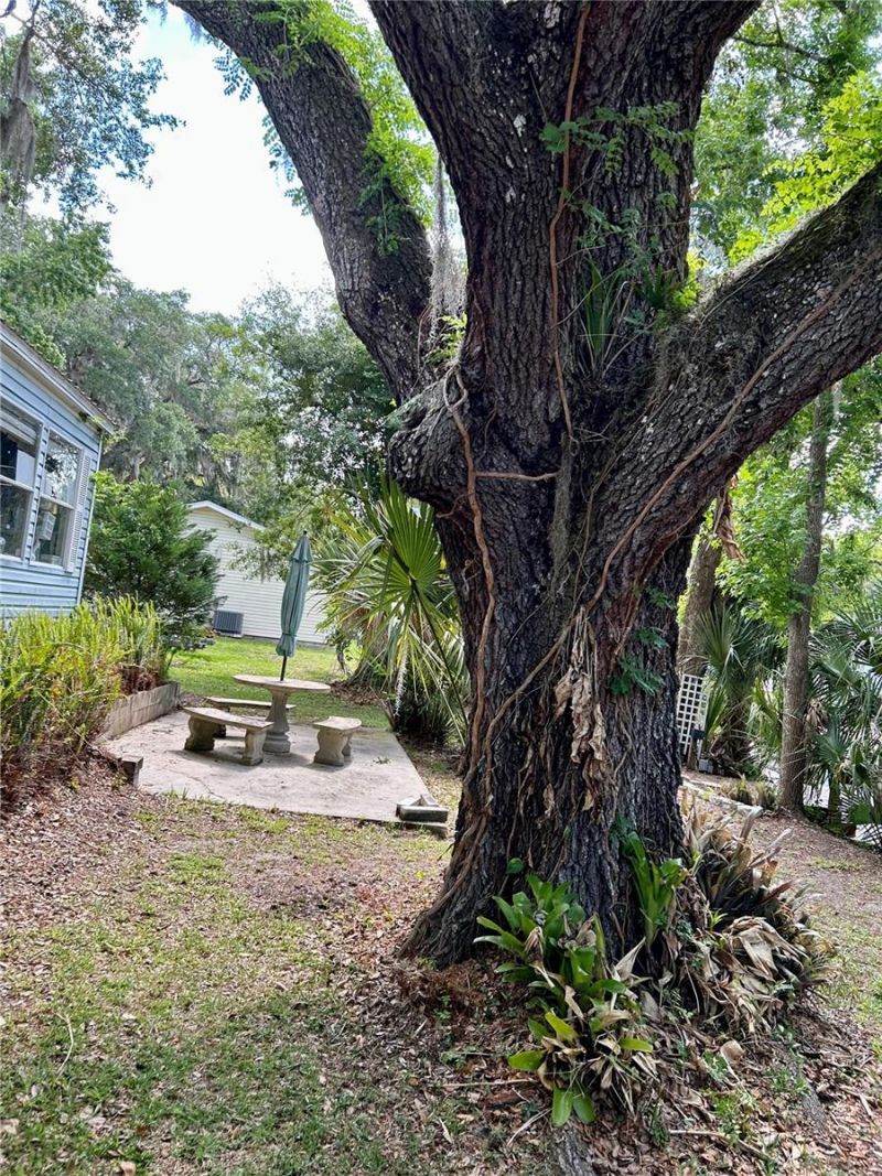 25646 Bass Road, Astor, FL 32102 Photo