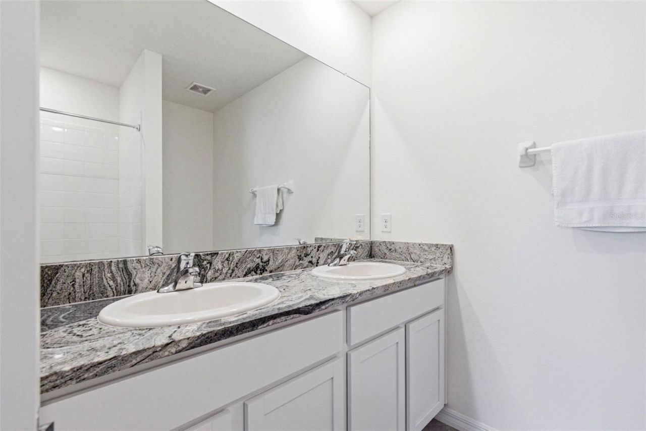 2959 Common Fig Run, Wesley Chapel, FL 33543 Photo