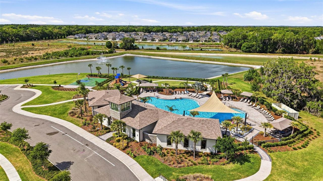 2959 Common Fig Run, Wesley Chapel, FL 33543 Photo