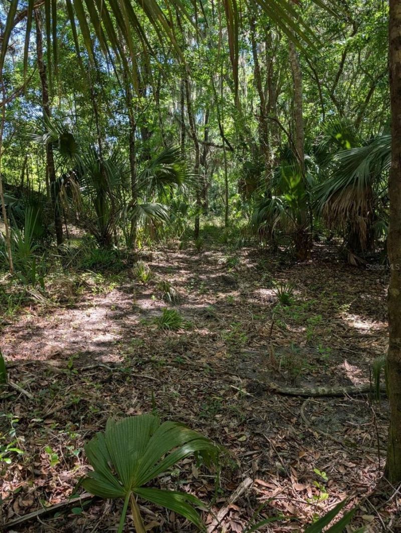 0 NW 202nd Pl, Mc Intosh, FL 32664 Photo