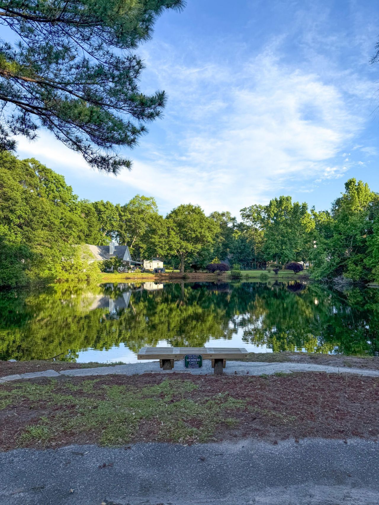 11 Christine Drive Photo 33