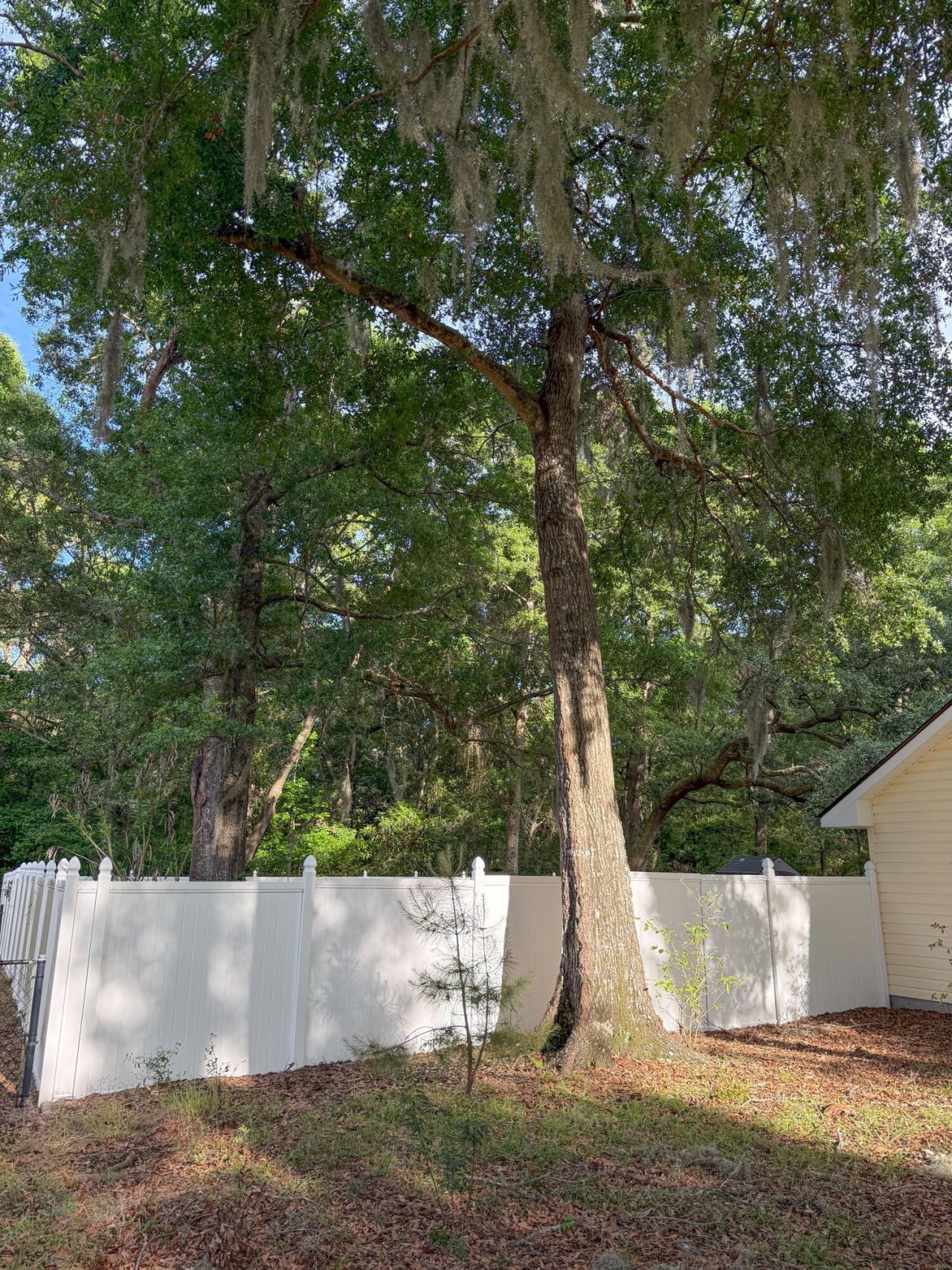 11 Christine Drive Photo 6