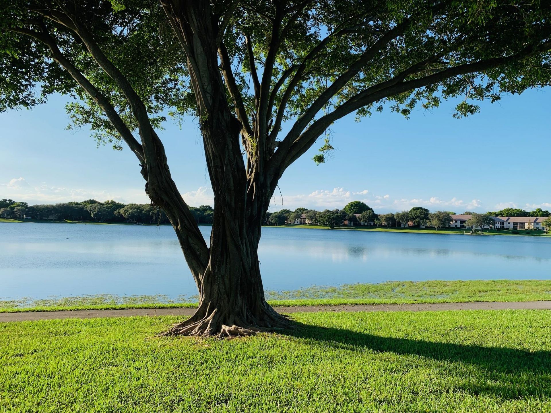 330 Palmwood Place, Unit P211, Boca Raton, FL 33431 Photo