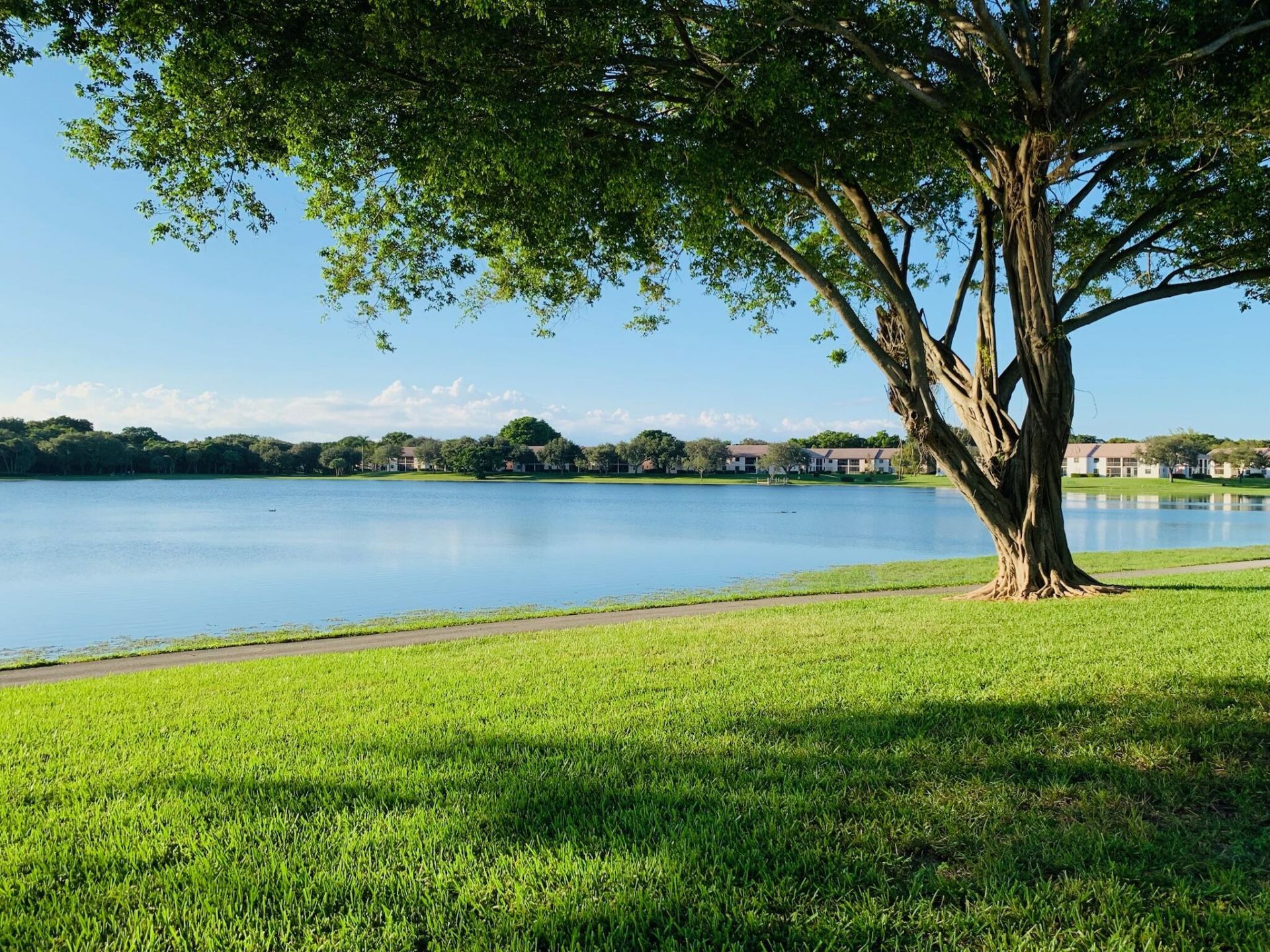 330 Palmwood Place, Unit P211, Boca Raton, FL 33431 Photo