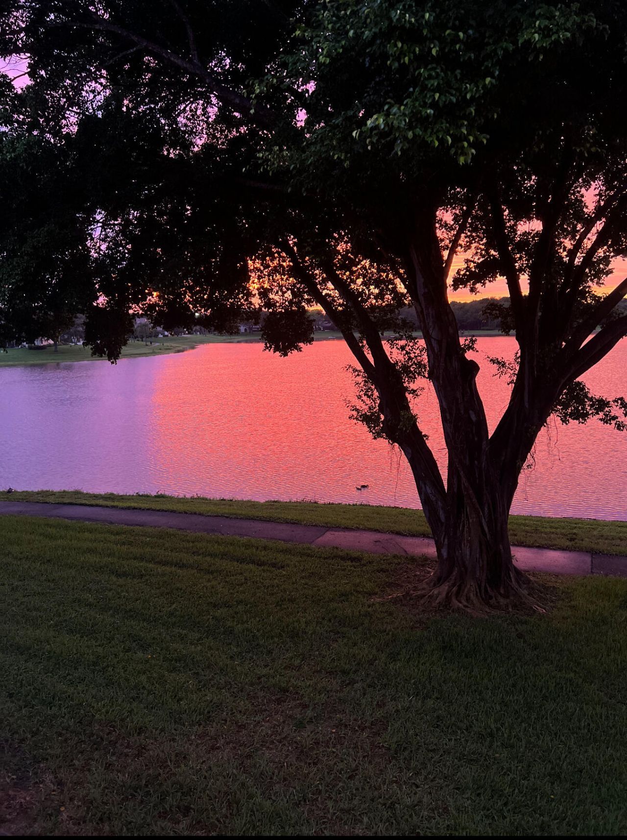 330 Palmwood Place, Unit P211, Boca Raton, FL 33431 Photo