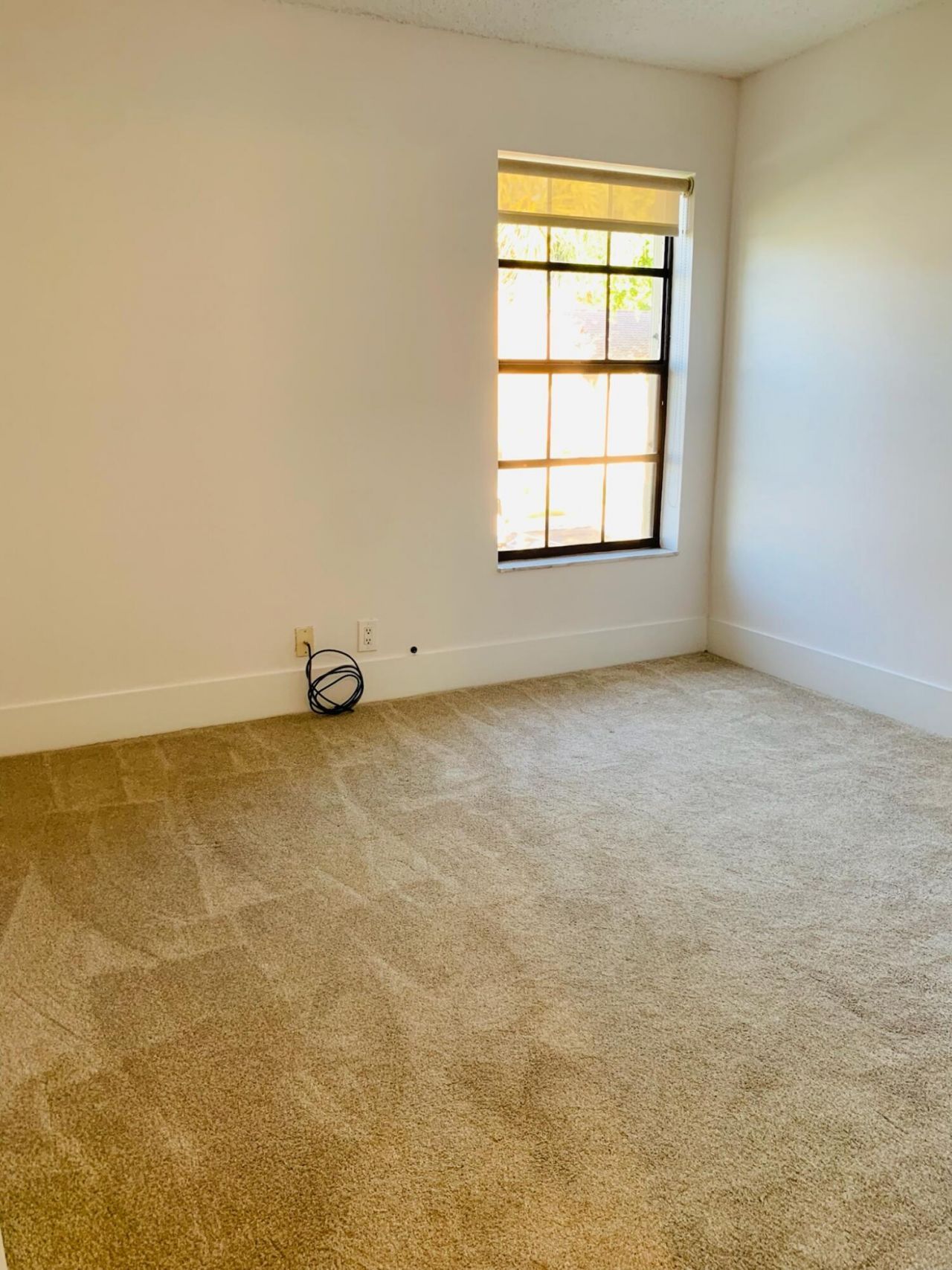 330 Palmwood Place, Unit P211, Boca Raton, FL 33431 Photo