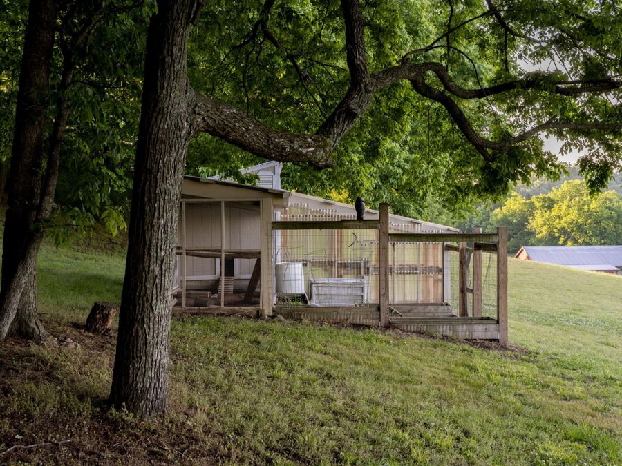 Property Image 49