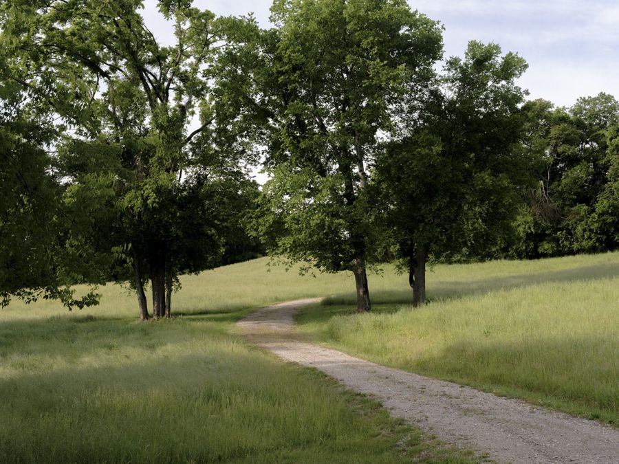 Property Image 66