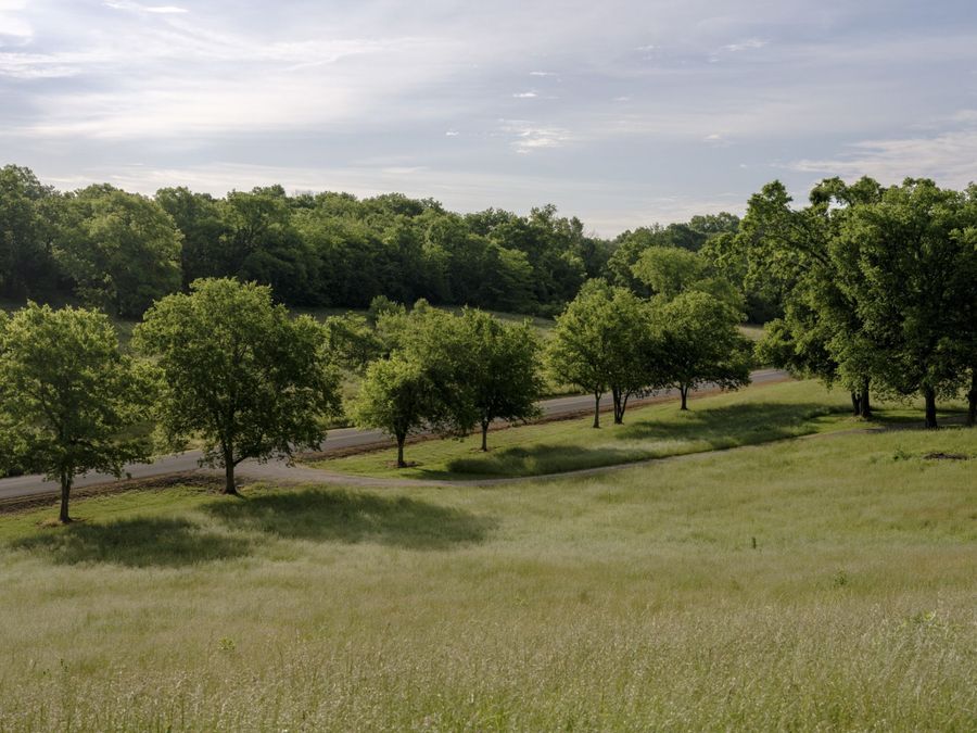 Property Image 68