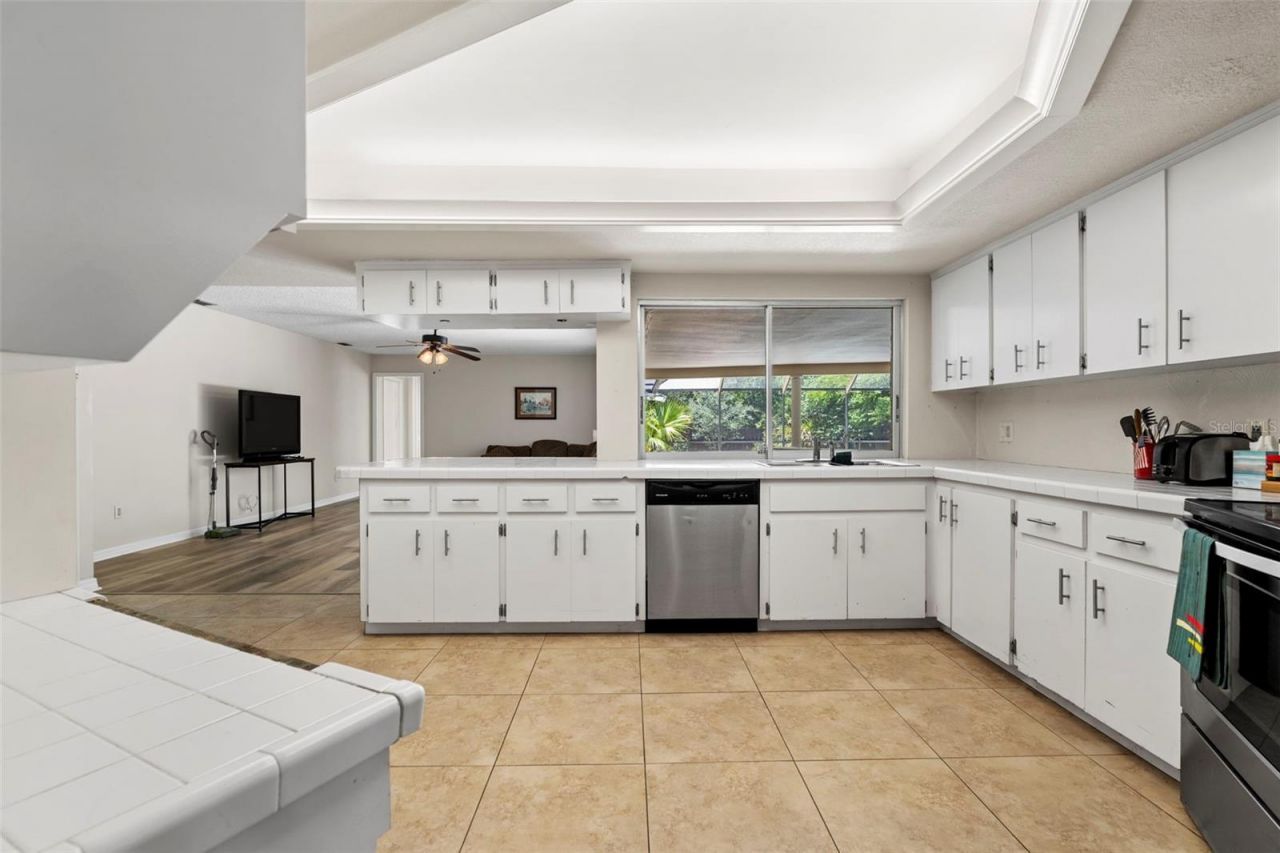207 Dunbridge Drive, Palm Harbor, FL 34684 Photo