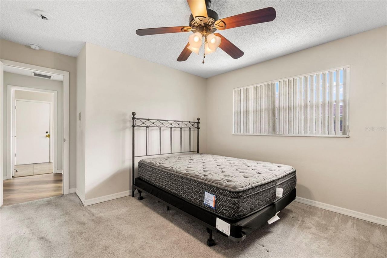 207 Dunbridge Drive, Palm Harbor, FL 34684 Photo