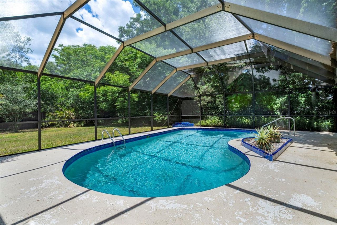 207 Dunbridge Drive, Palm Harbor, FL 34684 Photo