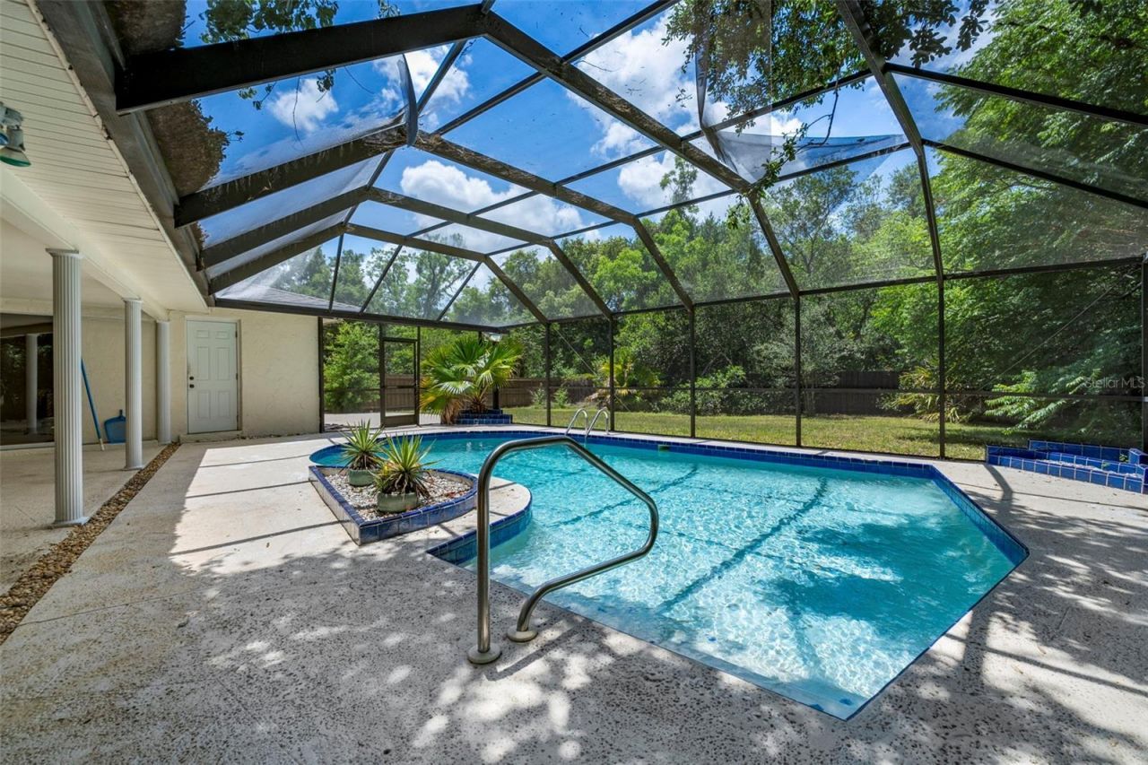 207 Dunbridge Drive, Palm Harbor, FL 34684 Photo