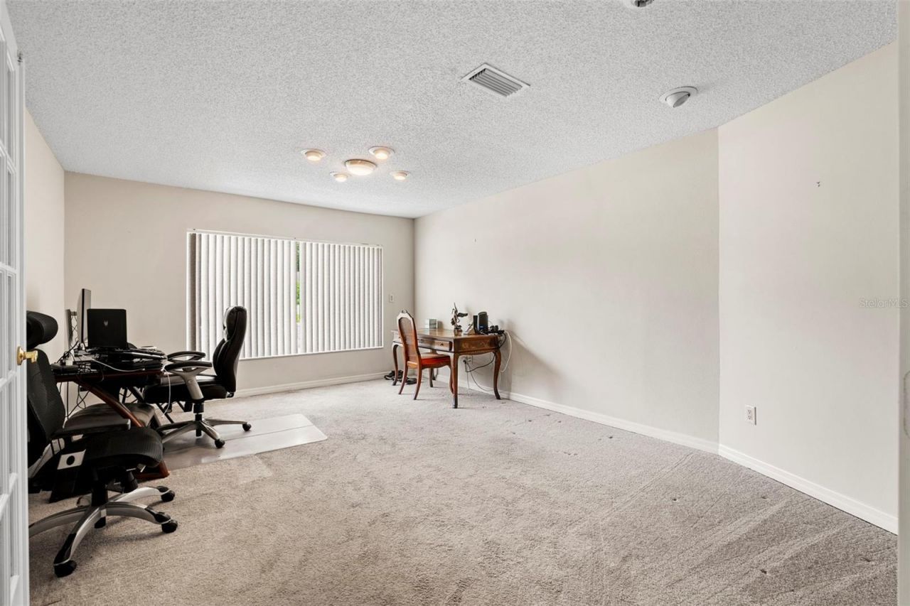 207 Dunbridge Drive, Palm Harbor, FL 34684 Photo
