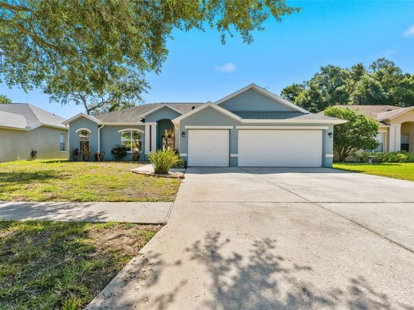 1115 LUMSDEN TRACE CIRCLE , VALRICO, FL 33594
