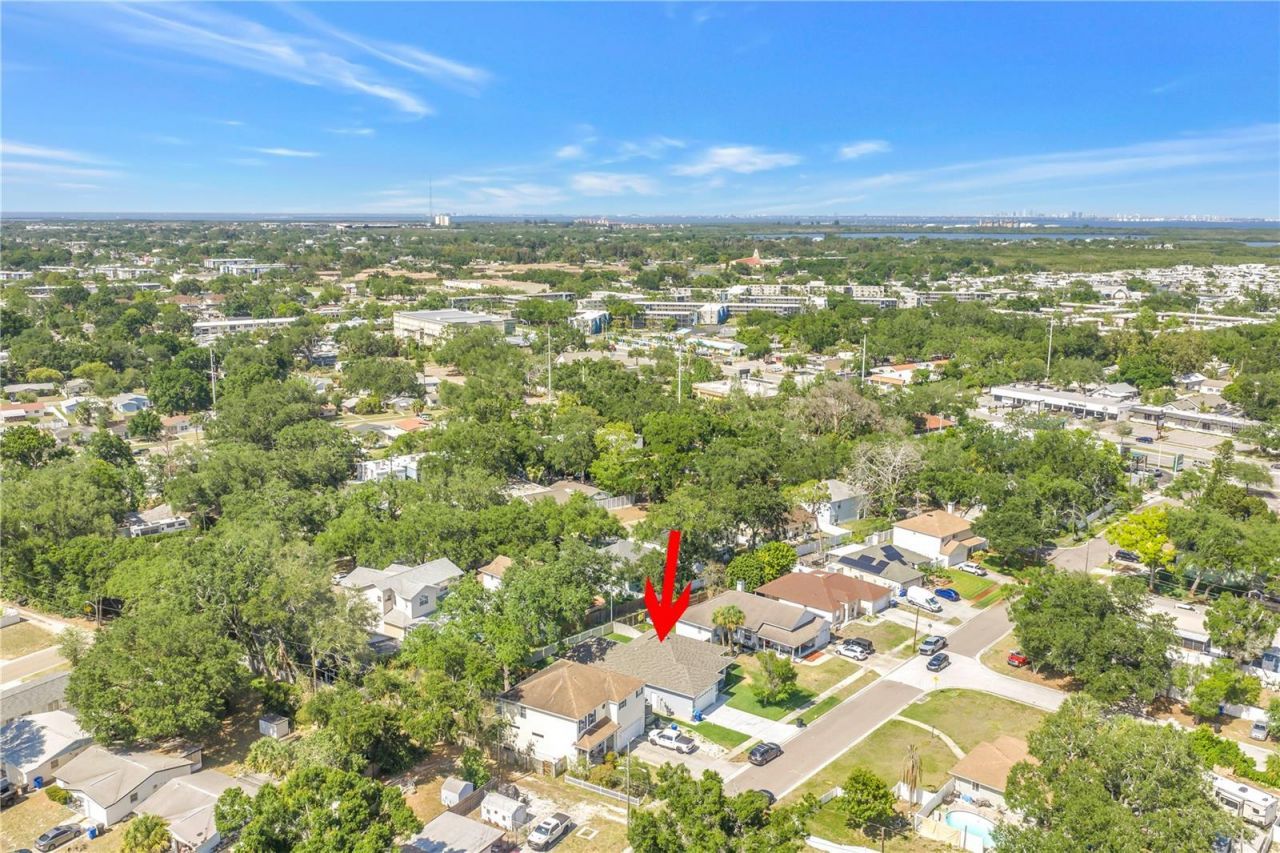 459 Northmoor Avenue N, Saint Petersburg, FL 33702 Photo