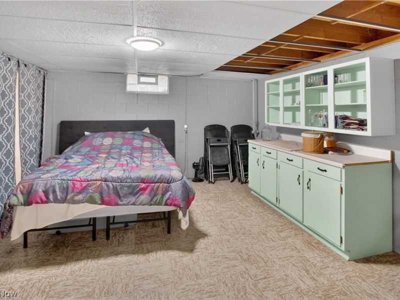 11209 Holshoe Road, Homerville, OH 44235 Photo 34