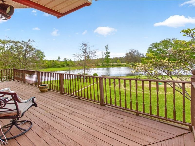11209 Holshoe Road, Homerville, OH 44235 Photo 38