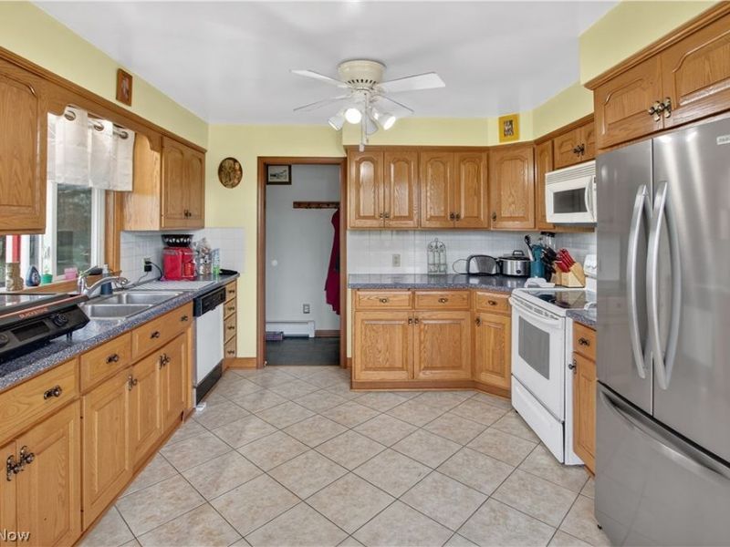 11209 Holshoe Road, Homerville, OH 44235 Photo 4