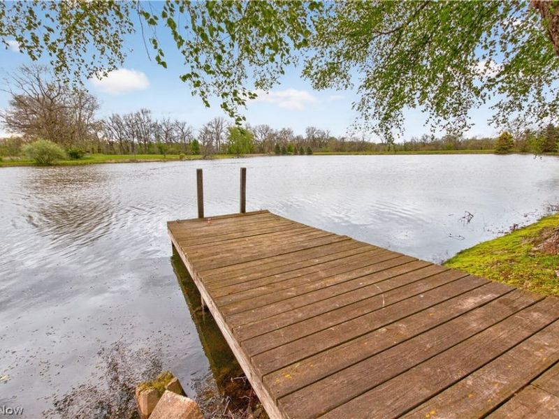 11209 Holshoe Road, Homerville, OH 44235 Photo 47