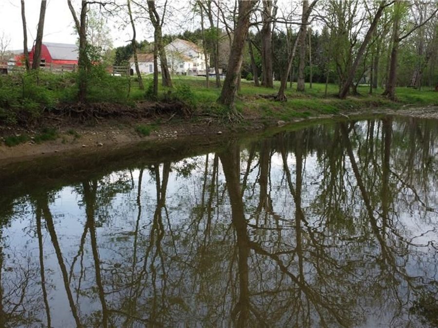 Property Image 63