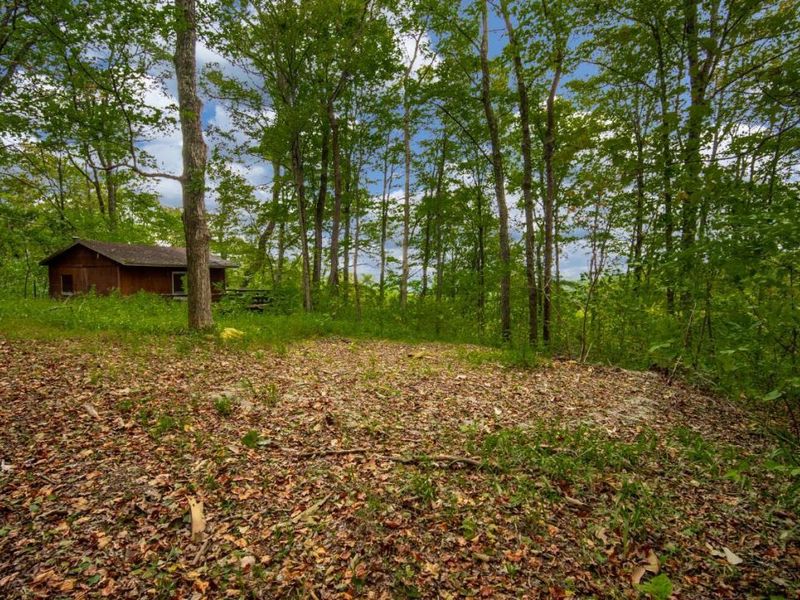269 Paulette Lane, Monroe Township, OH 45144 Photo 18