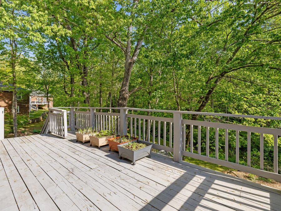 Property Image 62