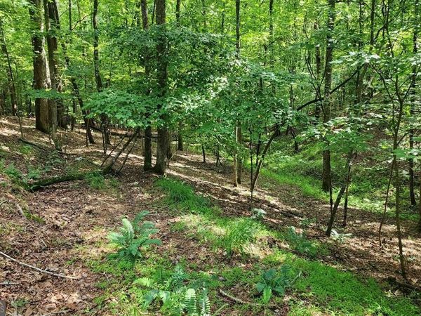 LOT 838 Oneida Circle, Ellijay, GA 30540