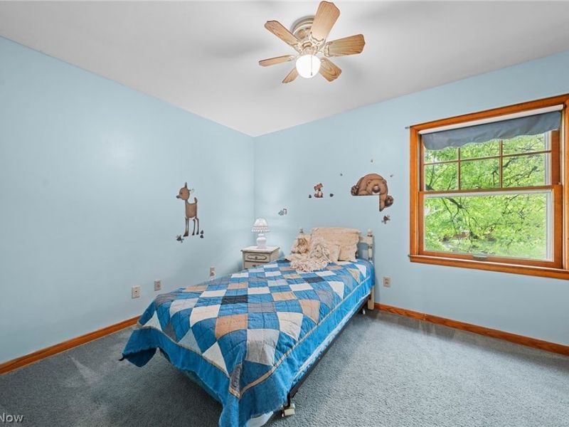 584 N Hawkins Avenue, Akron, OH 44313 Photo 38