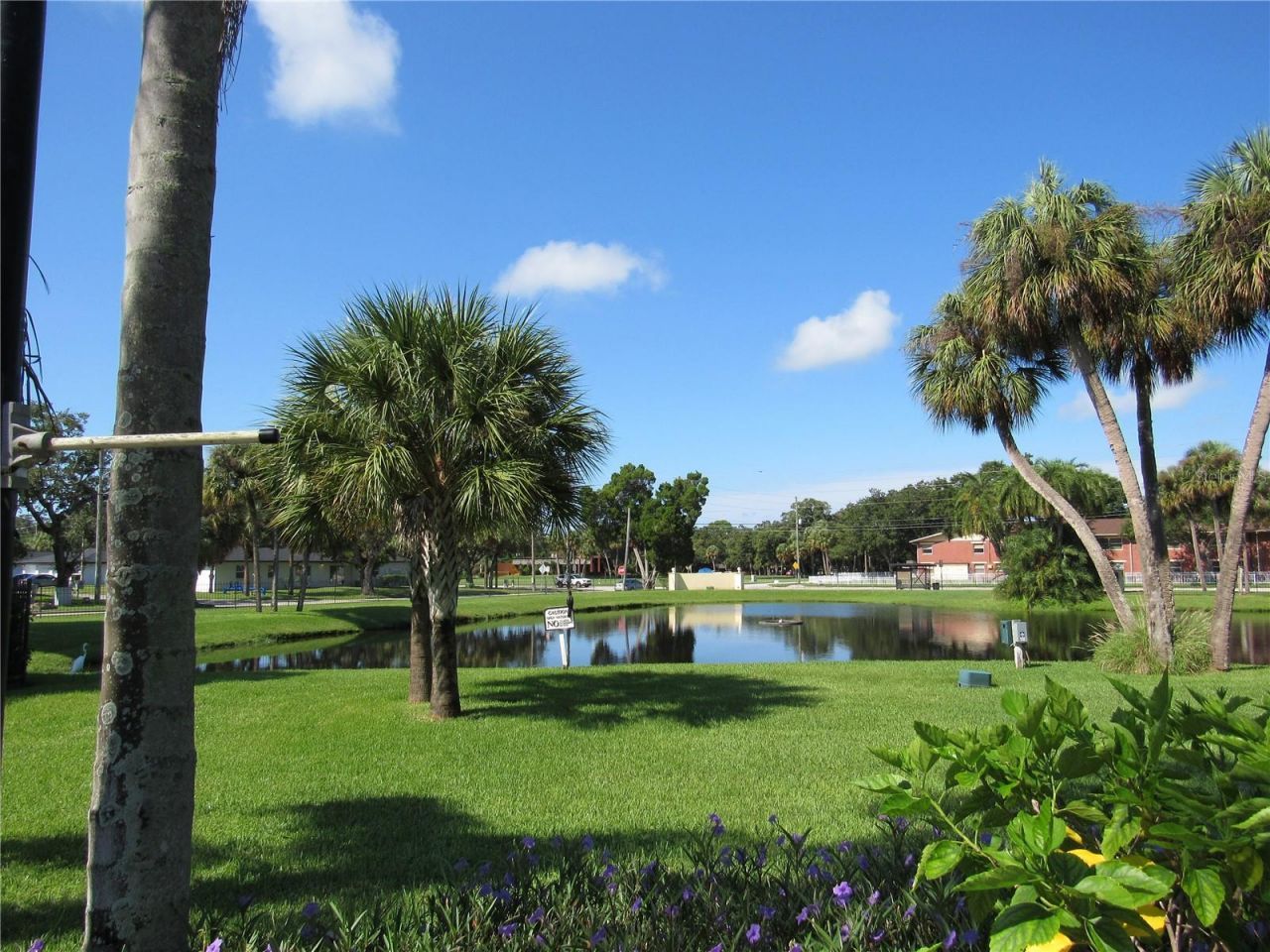 3001 58th Avenue S, Unit 610, Saint Petersburg, FL 33712 Photo