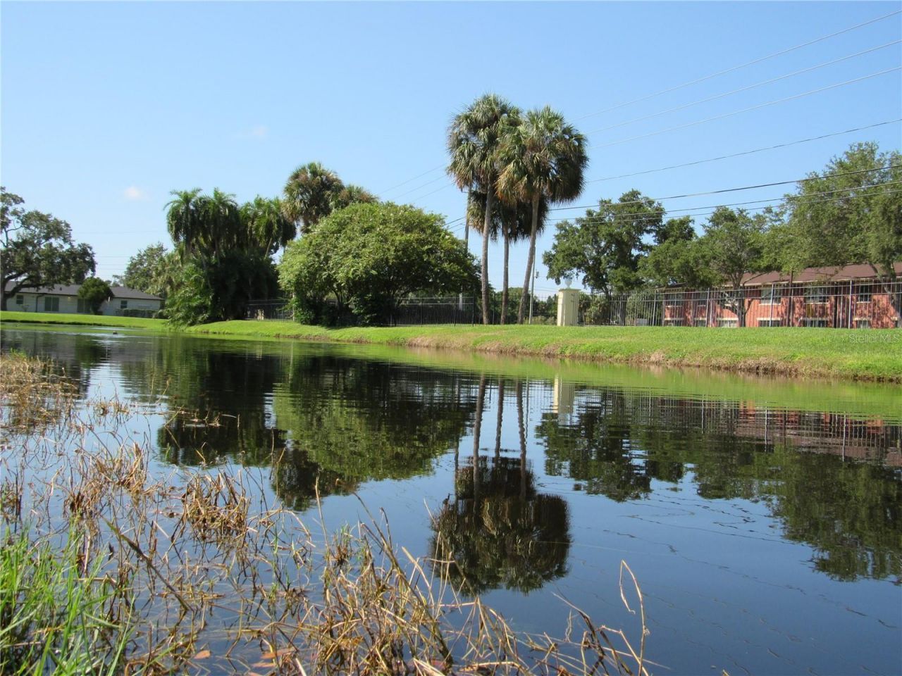 3001 58th Avenue S, Unit 610, Saint Petersburg, FL 33712 Photo