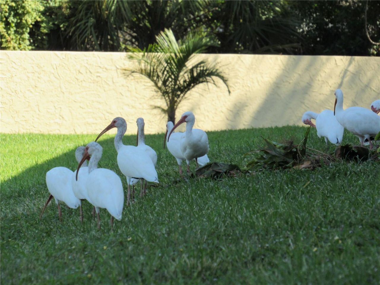 3001 58th Avenue S, Unit 610, Saint Petersburg, FL 33712 Photo