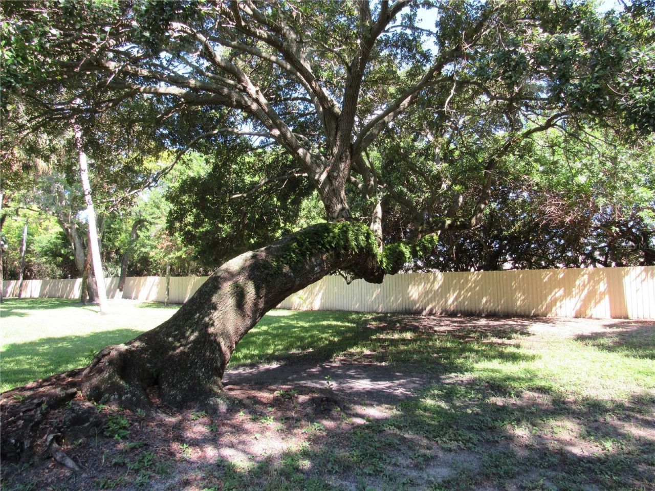 3001 58th Avenue S, Unit 610, Saint Petersburg, FL 33712 Photo