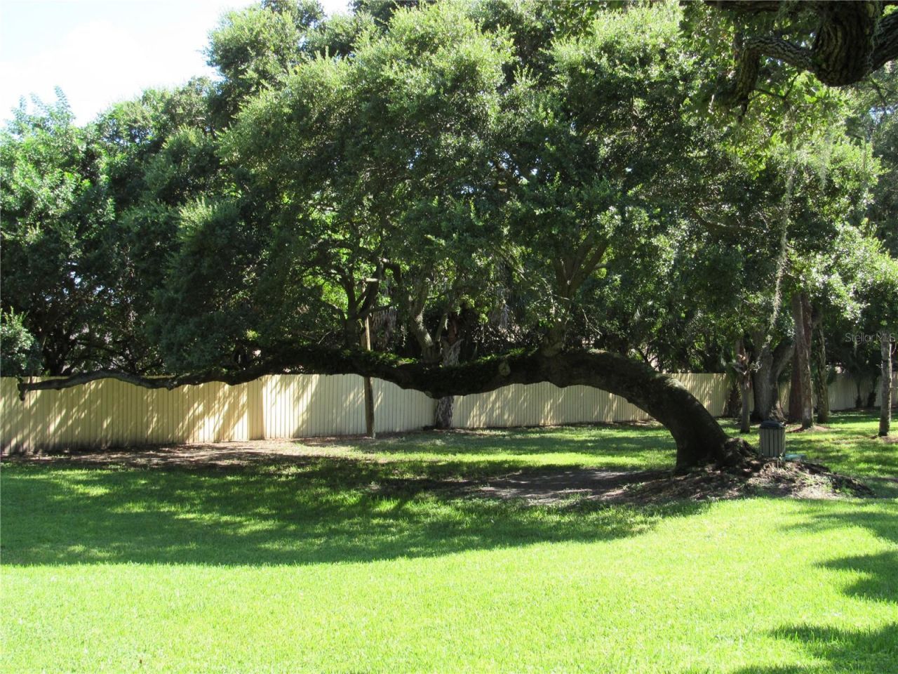 3001 58th Avenue S, Unit 610, Saint Petersburg, FL 33712 Photo