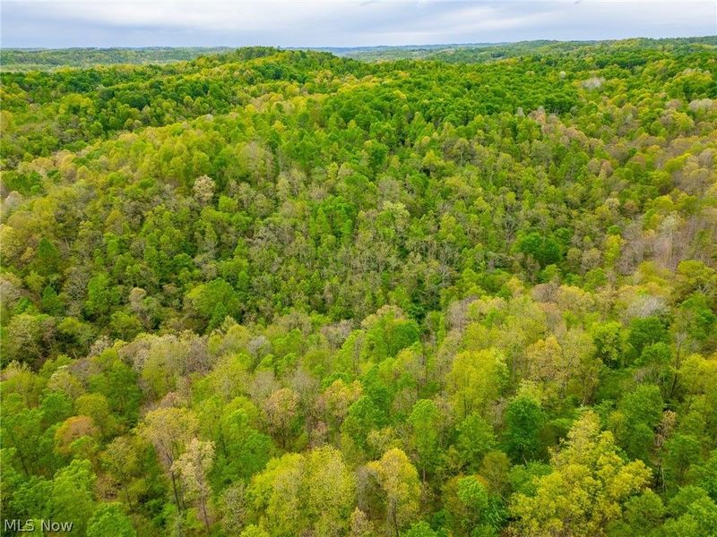37795 Sheep Skin Ridge , Lower Salem, OH 45745 Photo 13