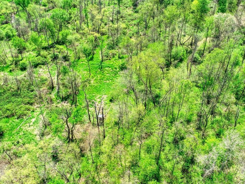 6820 Crane Run Road , Cumberland, OH 43732 Photo 10