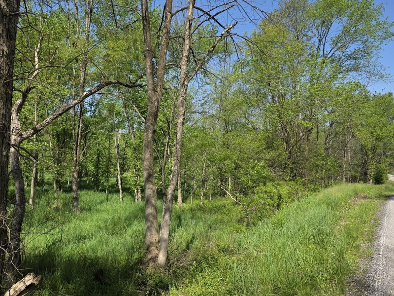 6820 Crane Run Road , Cumberland, OH 43732 Photo 2
