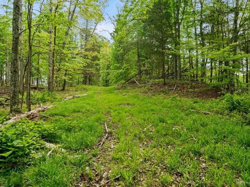 1393 Dutch Thomas Road, Peebles, OH 45660 Photo 46