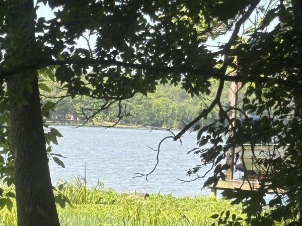Lot 8 County Road 567, Gaylesville, AL 35973