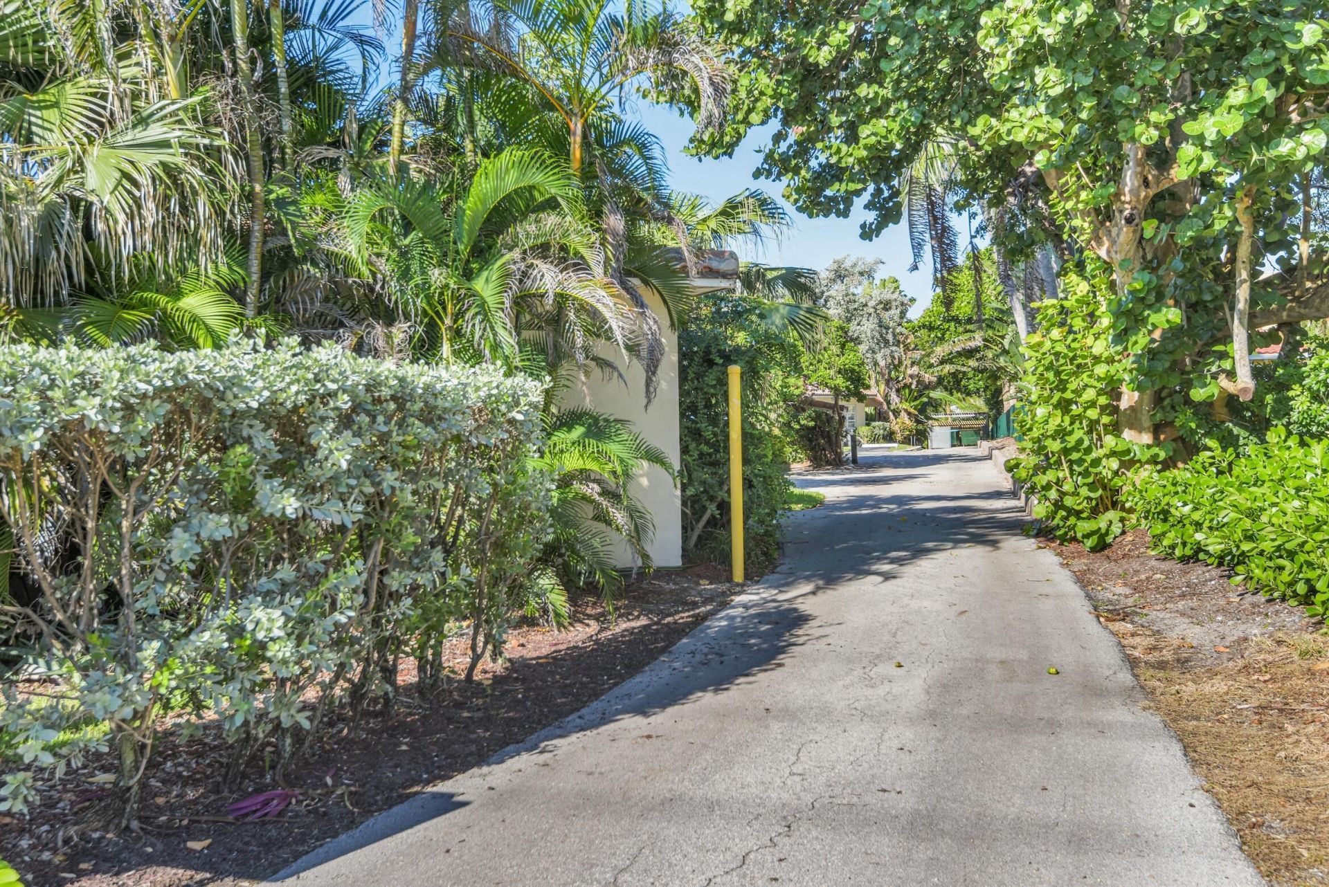 1225 Hillsboro Mile, Unit W1, Hillsboro Beach, FL 33062 Photo