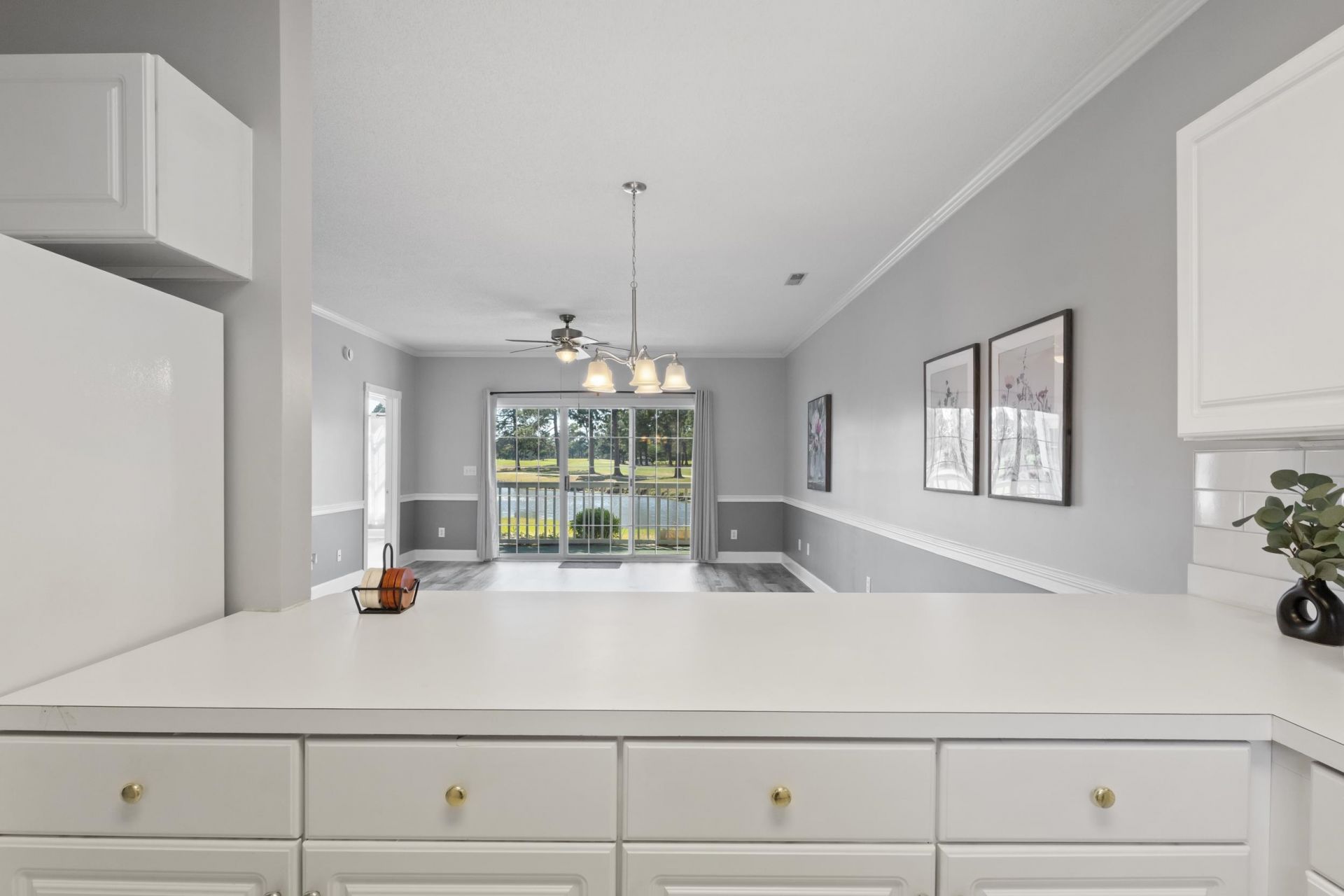 4745 Wild Iris Dr.  Photo 13