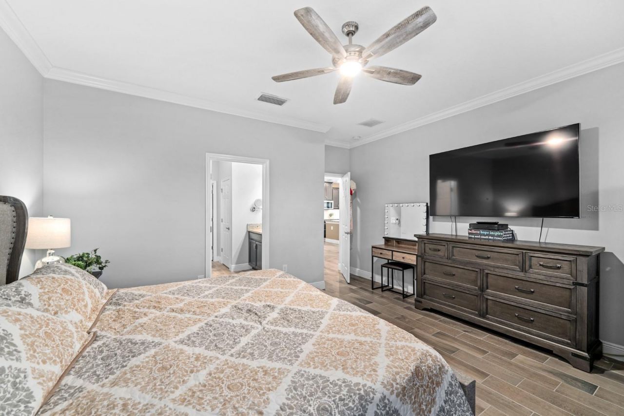 11637 Tetrafin Drive, Riverview, FL 33579 Photo