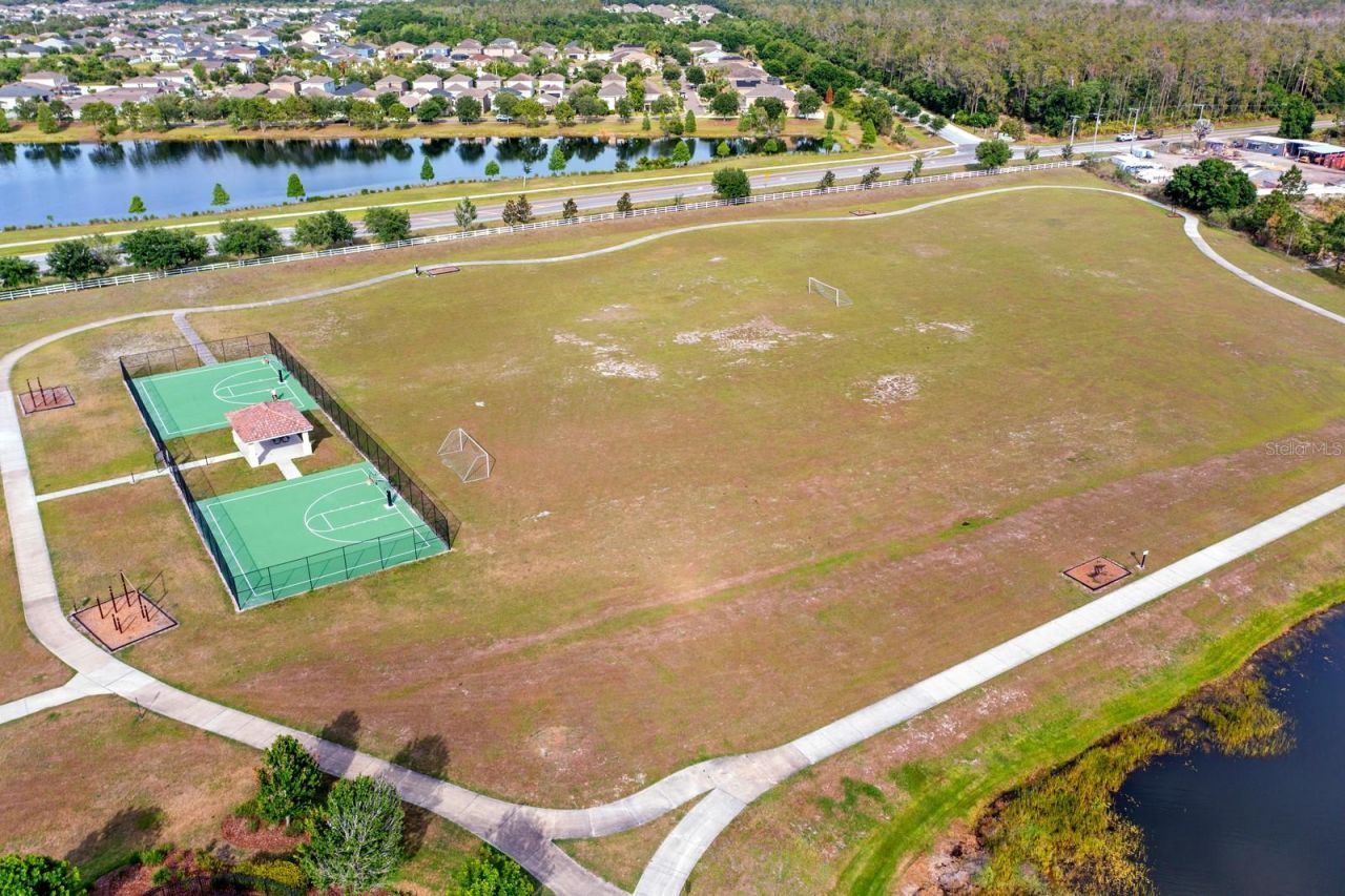 11637 Tetrafin Drive, Riverview, FL 33579 Photo
