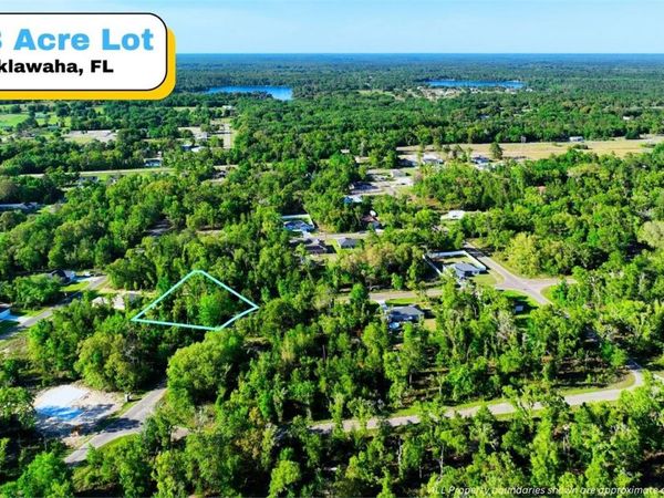 TBD FISHER LN WAY , OCKLAWAHA, FL 32179