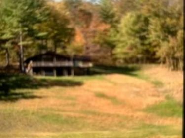 431 HOLLY RIDGE ROAD, MOUNT JACKSON, VA 22842