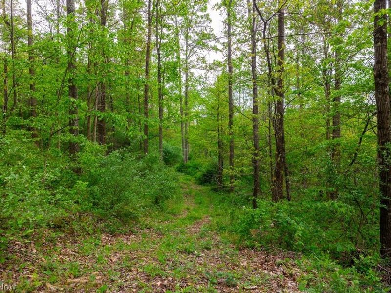 37795 Sheep Skin Ridge , Lower Salem, OH 45745 Photo 13