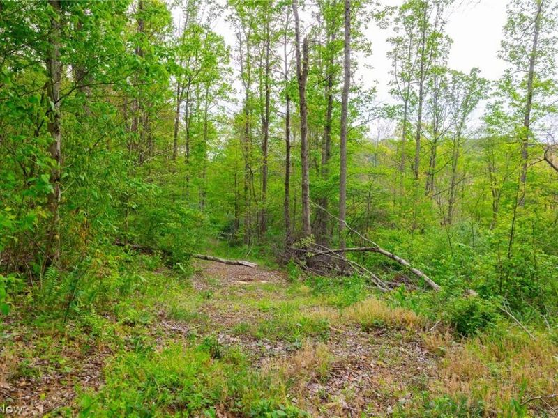 37795 Sheep Skin Ridge , Lower Salem, OH 45745 Photo 14